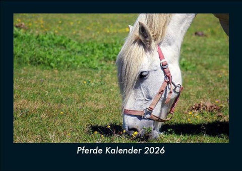 Pferde Kalender 2026 Fotokalender DIN A5
