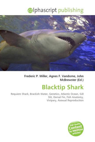 Blacktip Shark