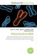 Mitochondrial DNA