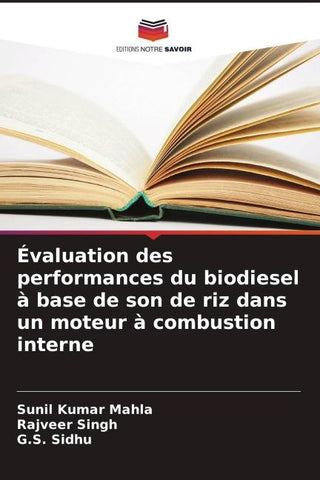 Évaluation des performances du biodiesel à base de son de riz dans un moteur à combustion interne