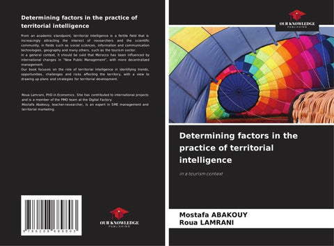 Determining factors in the practice of territorial intelligence