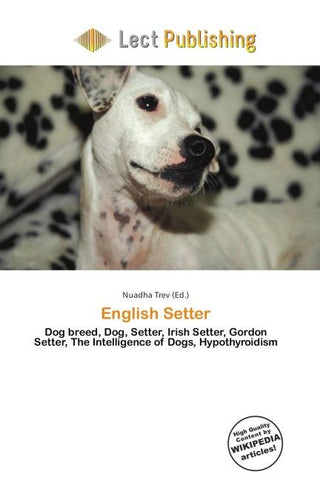 English Setter
