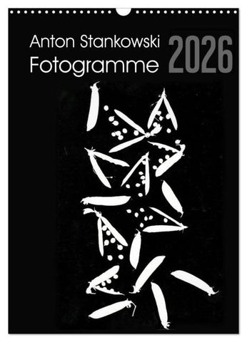 Anton Stankowski Fotogramme (Wandkalender 2026 DIN A3 hoch), CALVENDO Monatskalender