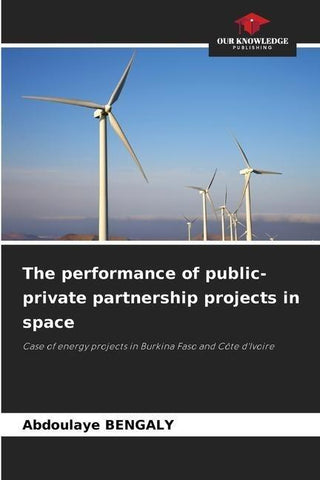 The performance of public-private partnership projects in space