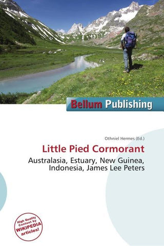 Little Pied Cormorant