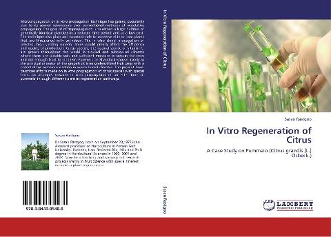 In Vitro Regeneration of Citrus