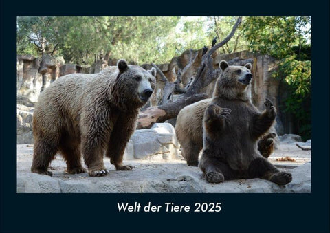 Welt der Tiere 2025 Fotokalender DIN A4