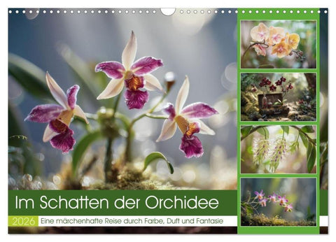 Im Schatten der Orchidee (Wandkalender 2026 DIN A3 quer), CALVENDO Monatskalender