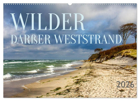 Wilder Darßer Weststrand (Wandkalender 2026 DIN A2 quer), CALVENDO Monatskalender