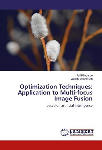Optimization Techniques: Application to Multi-focus Image Fusion