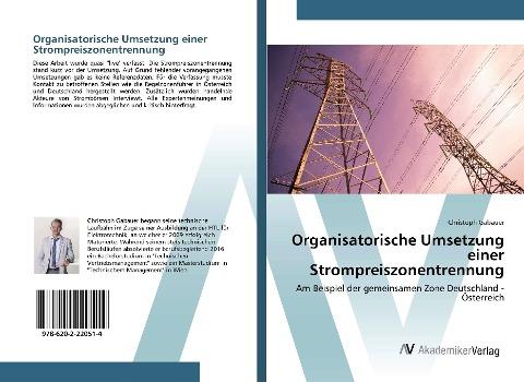 Organisatorische Umsetzung einer Strompreiszonentrennung