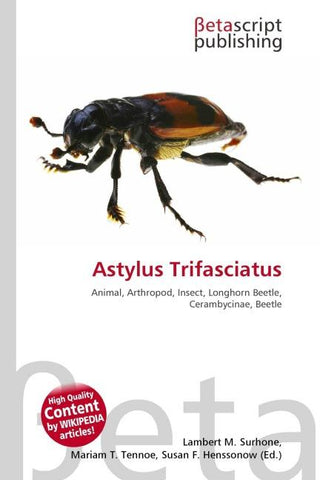 Astylus Trifasciatus