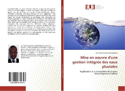 Mise en oeuvre d'une gestion intégrée des eaux pluviales