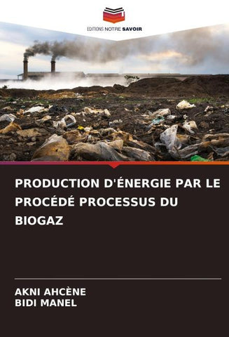 PRODUCTION D'ÉNERGIE PAR LE PROCÉDÉ PROCESSUS DU BIOGAZ