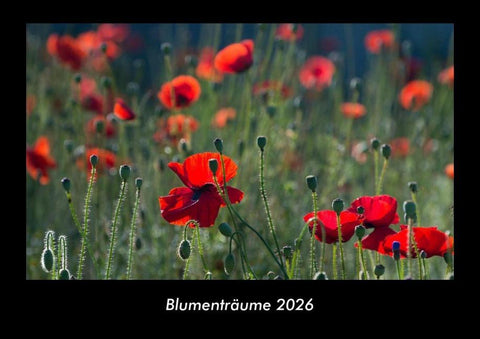 Blumenträume 2026 Fotokalender DIN A3