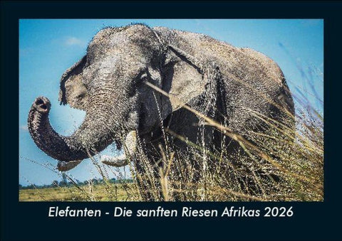Elefanten - Die sanften Riesen Afrikas 2026 Fotokalender DIN A5