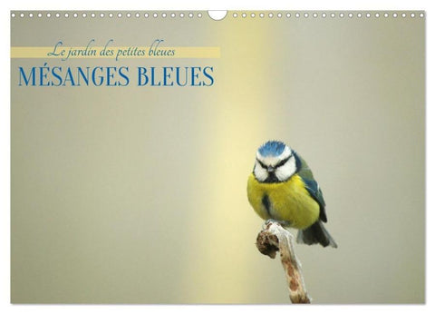 Mésanges bleues (Calendrier mural 2027 DIN A3 vertical), CALVENDO calendrier mensuel