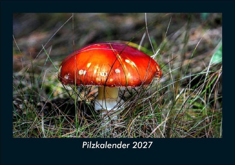 Pilzkalender 2027 Fotokalender DIN A5