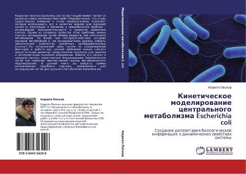 Kineticheskoe modelirowanie central'nogo metabolizma Escherichia coli