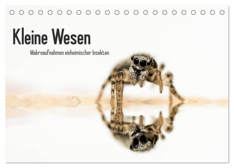 Kleine Wesen – Makroaufnahmen von einheimischen Insekten (Tischkalender 2026 DIN A5 quer), CALVENDO Monatskalender