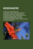 Nebenniere