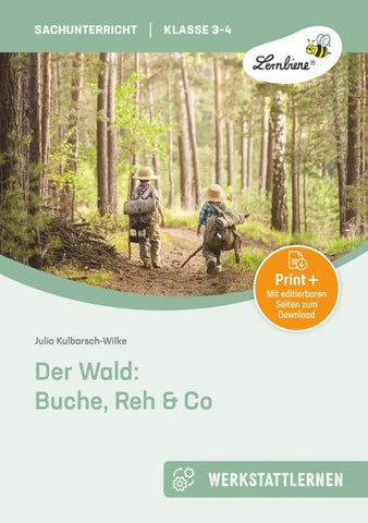 Der Wald: Buche, Reh & Co