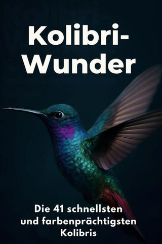 Kolibri-Wunder