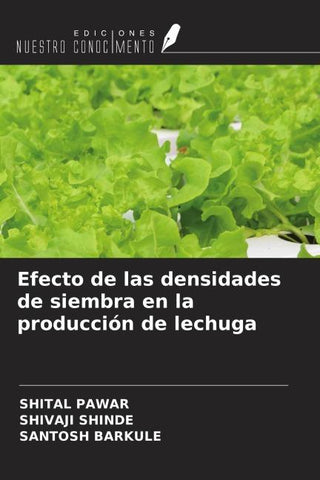 Efecto de las densidades de siembra en la producción de lechuga