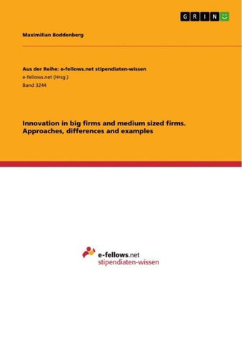 Innovation in big firms and medium sized firms. Approaches, differences and examples