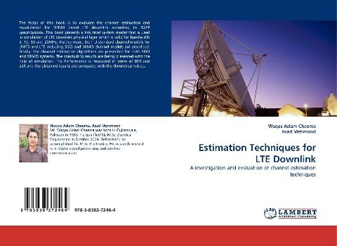 Estimation Techniques for LTE Downlink