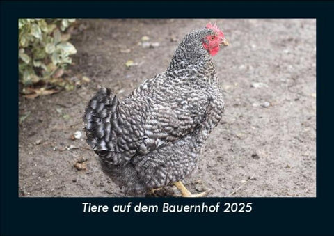 Tiere auf dem Bauernhof 2025 Fotokalender DIN A5