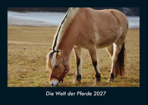Die Welt der Pferde 2027 Fotokalender DIN A4