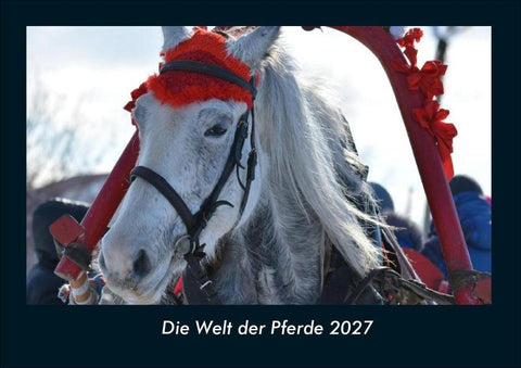 Die Welt der Pferde 2027 Fotokalender DIN A4