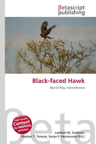 Black-faced Hawk
