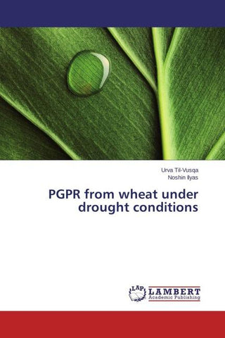 PGPR from wheat under drought conditions