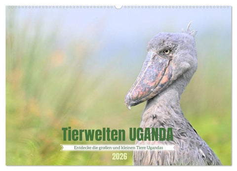 Tierwelten UGANDA (Wandkalender 2026 DIN A2 quer), CALVENDO Monatskalender