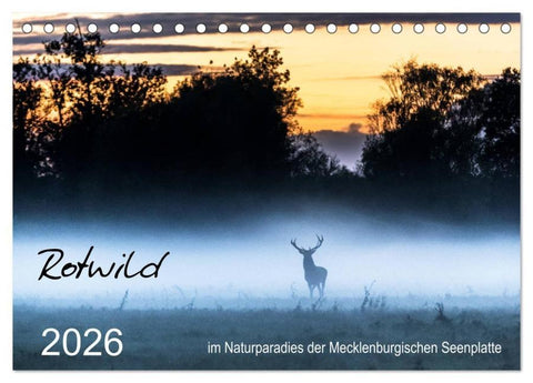 Rotwild - im Naturparadies der Mecklenburgischen Seenplatte (Tischkalender 2026 DIN A5 quer), CALVENDO Monatskalender