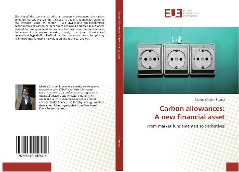 Carbon allowances: A new financial asset