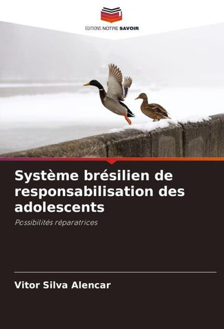 Système brésilien de responsabilisation des adolescents