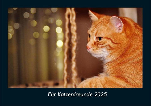 Für Katzenfreunde 2025 Fotokalender DIN A4