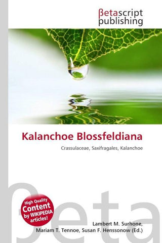Kalanchoe Blossfeldiana