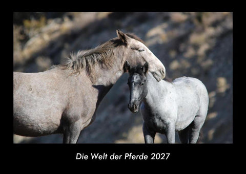 Die Welt der Pferde 2027 Fotokalender DIN A3