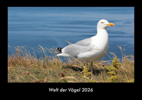 Welt der Vögel 2026 Fotokalender DIN A3