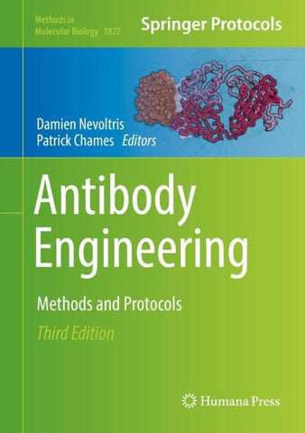 Antibody Engineering