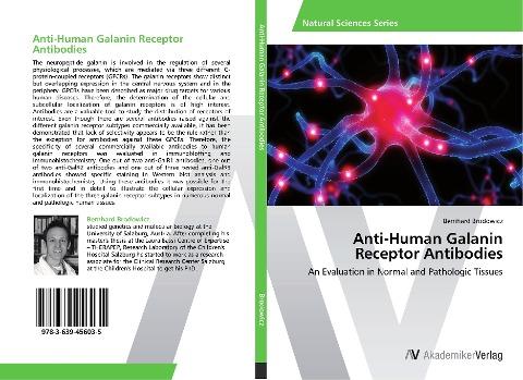 Anti-Human Galanin Receptor Antibodies