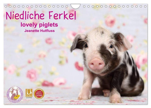 Niedliche Ferkel lovely piglets 2026 (Wandkalender 2026 DIN A4 quer), CALVENDO Monatskalender