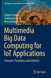 Multimedia Big Data Computing for IoT Applications
