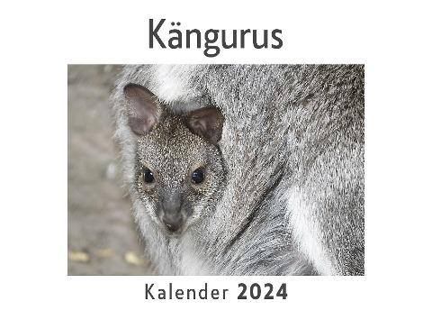 Kängurus (Wandkalender 2024, Kalender DIN A4 quer, Monatskalender im Querformat mit Kalendarium, Das perfekte Geschenk)