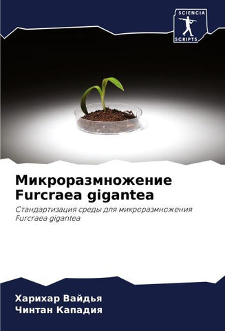 Mikrorazmnozhenie Furcraea gigantea