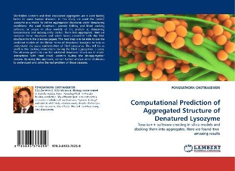 Computational Prediction of Aggregated Structure of Denatured Lysozyme